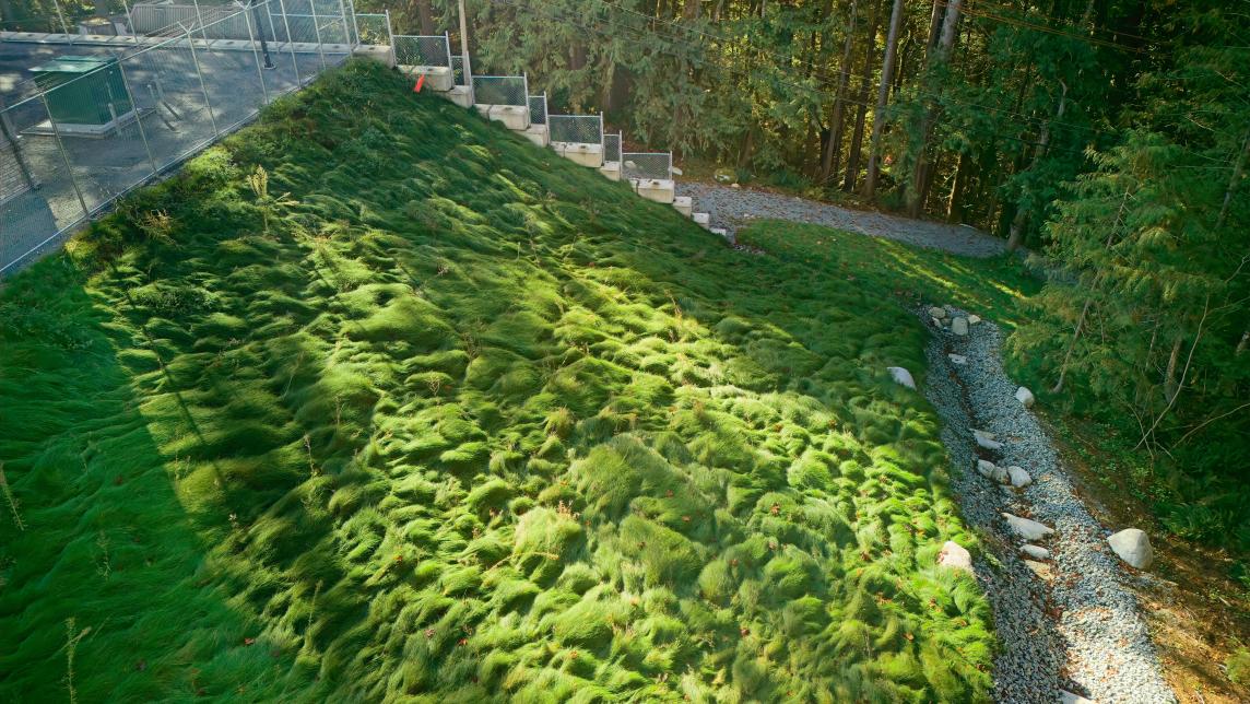 Grassy slope and gravel drainage improvements