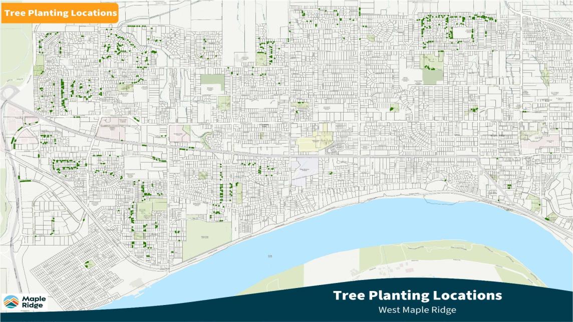 Tree Planting Locations