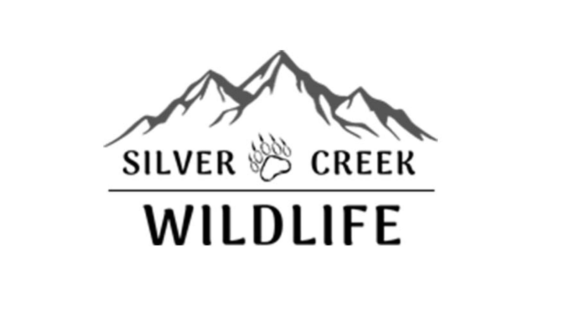 Silver Creek