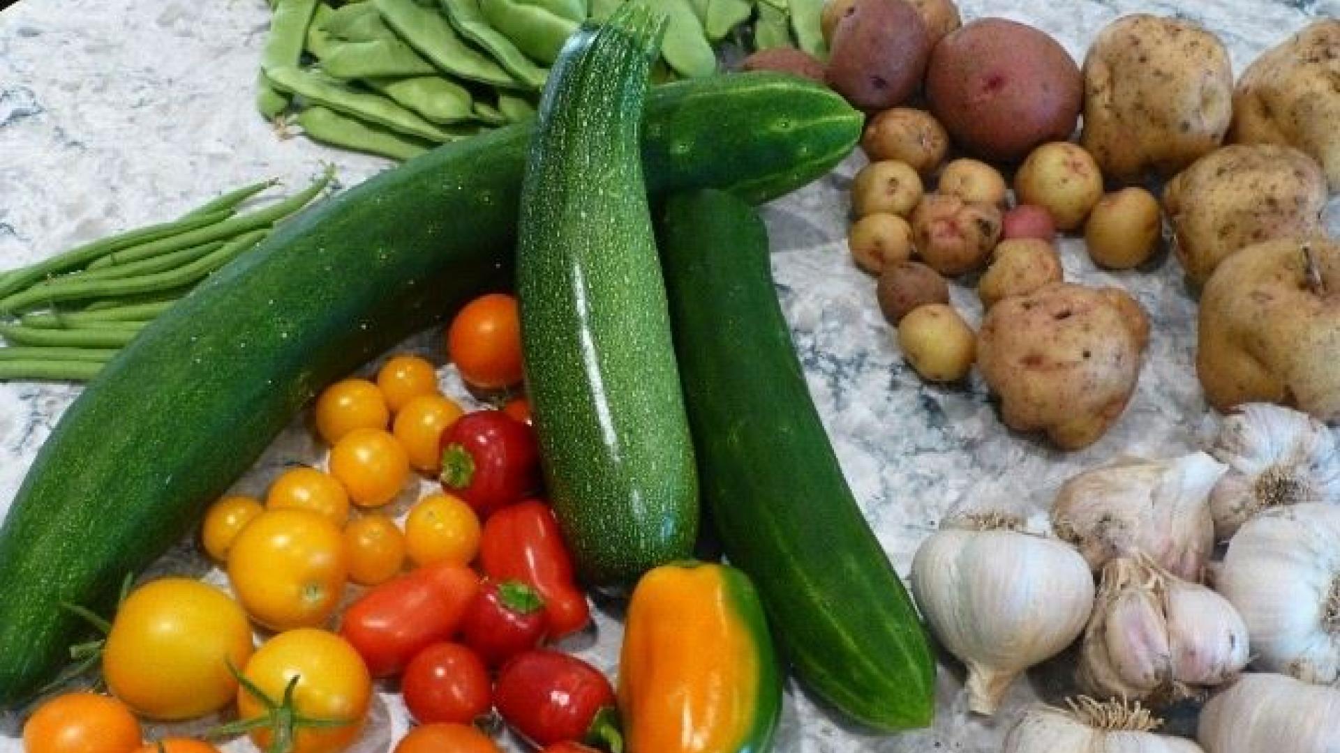 Assorted variety of harvested produce. There are tomatoes, garlic, cucumbers, green peas, and potatoes spread out on a table