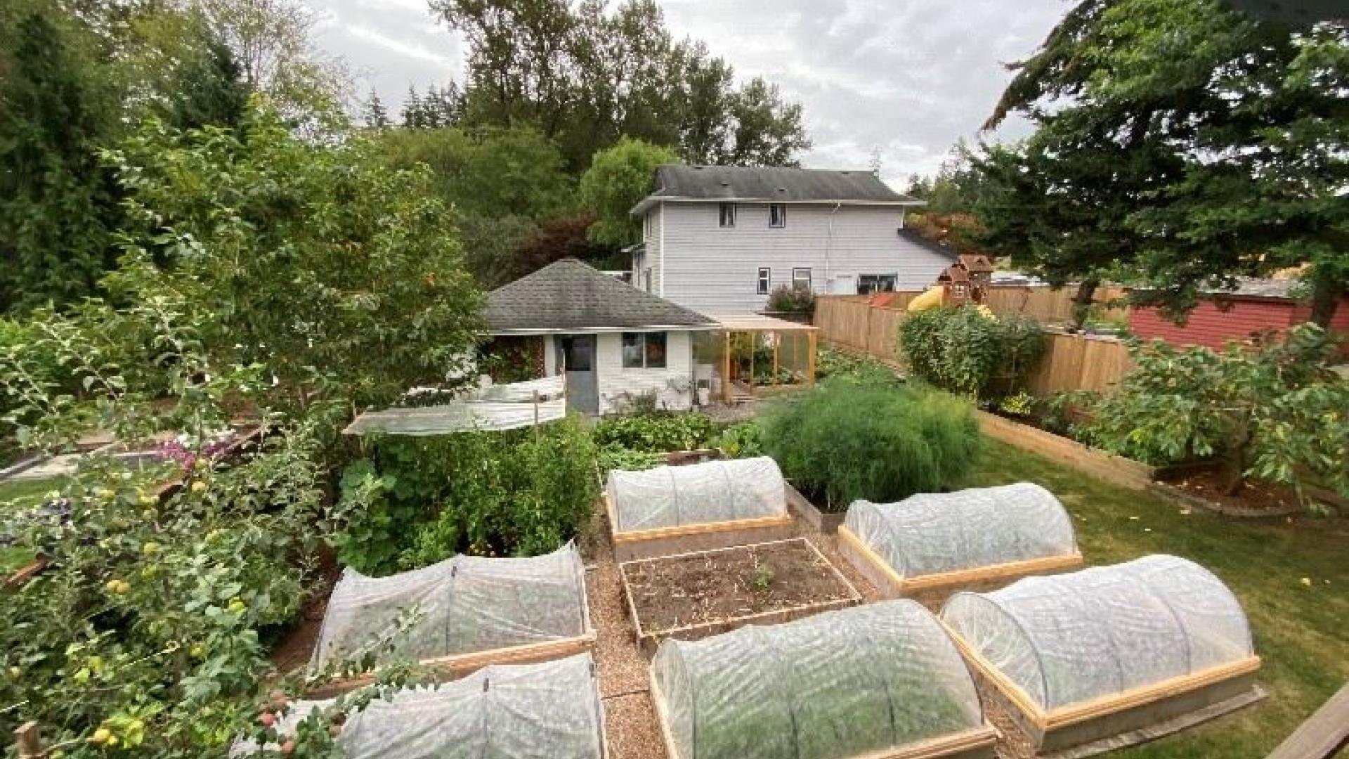 Elena Erokhina's garden. Overhead view of covered planters with produce growing in them.