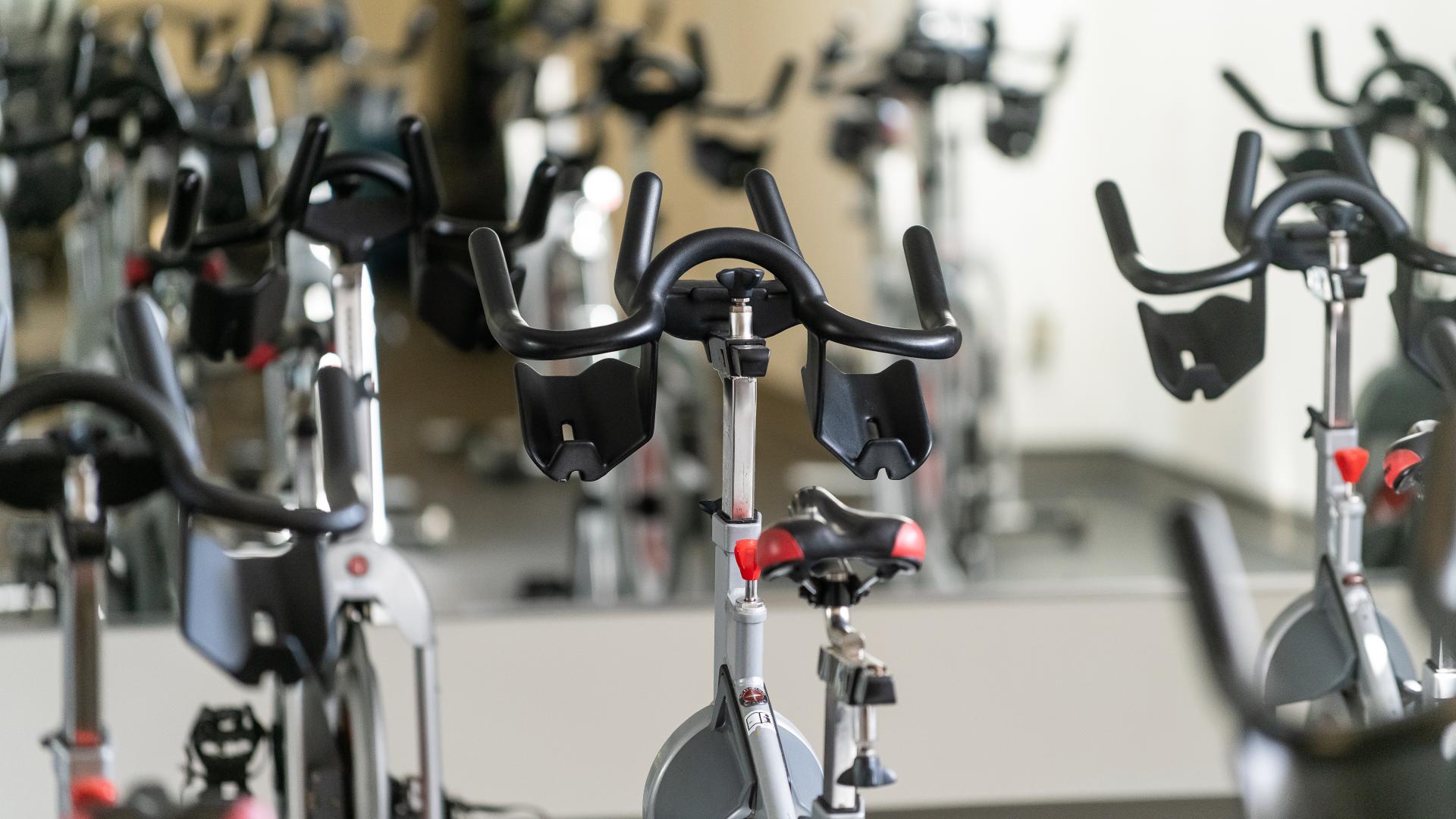 A line of exercise bikes face a mirror.