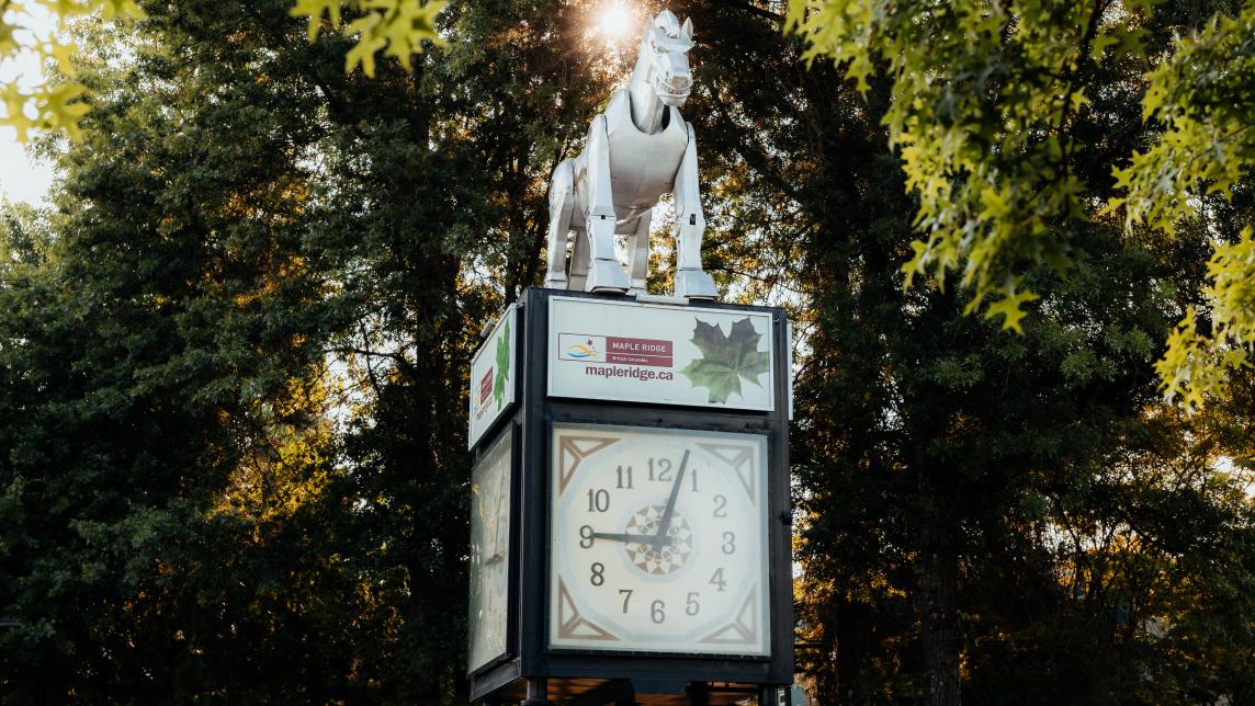 The Beast Clock with Sun Shining Behind It