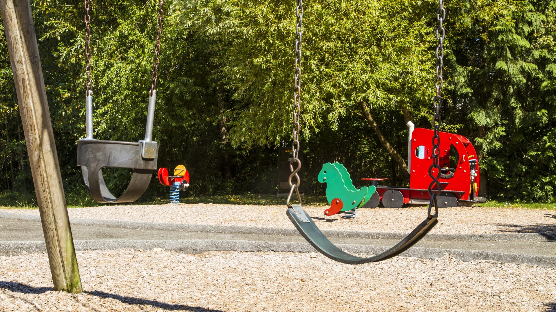 An infant swing and a child swing. In the background, the truck-shaped