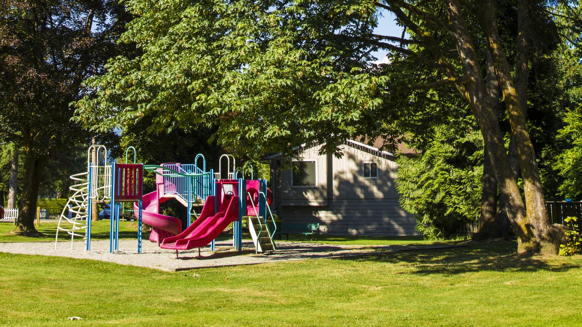 A large tree leans slight to over hand a playground, casting some shade in an otherwise sunny clearing.