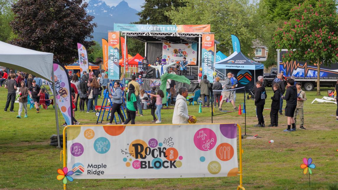 Crowd Watching the Stage at Rock the Block at Volker Park