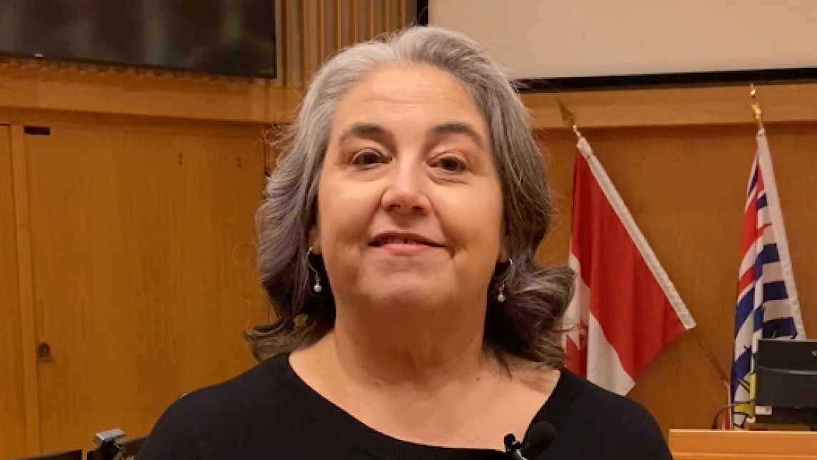A woman stands in Council Chambers with the caption "Set strategic priorities through Council's strategic plan".