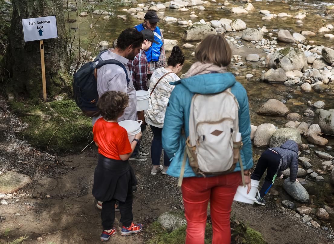 A group of people crowd along the riverbank with buckets of salmon fry ready to be released.