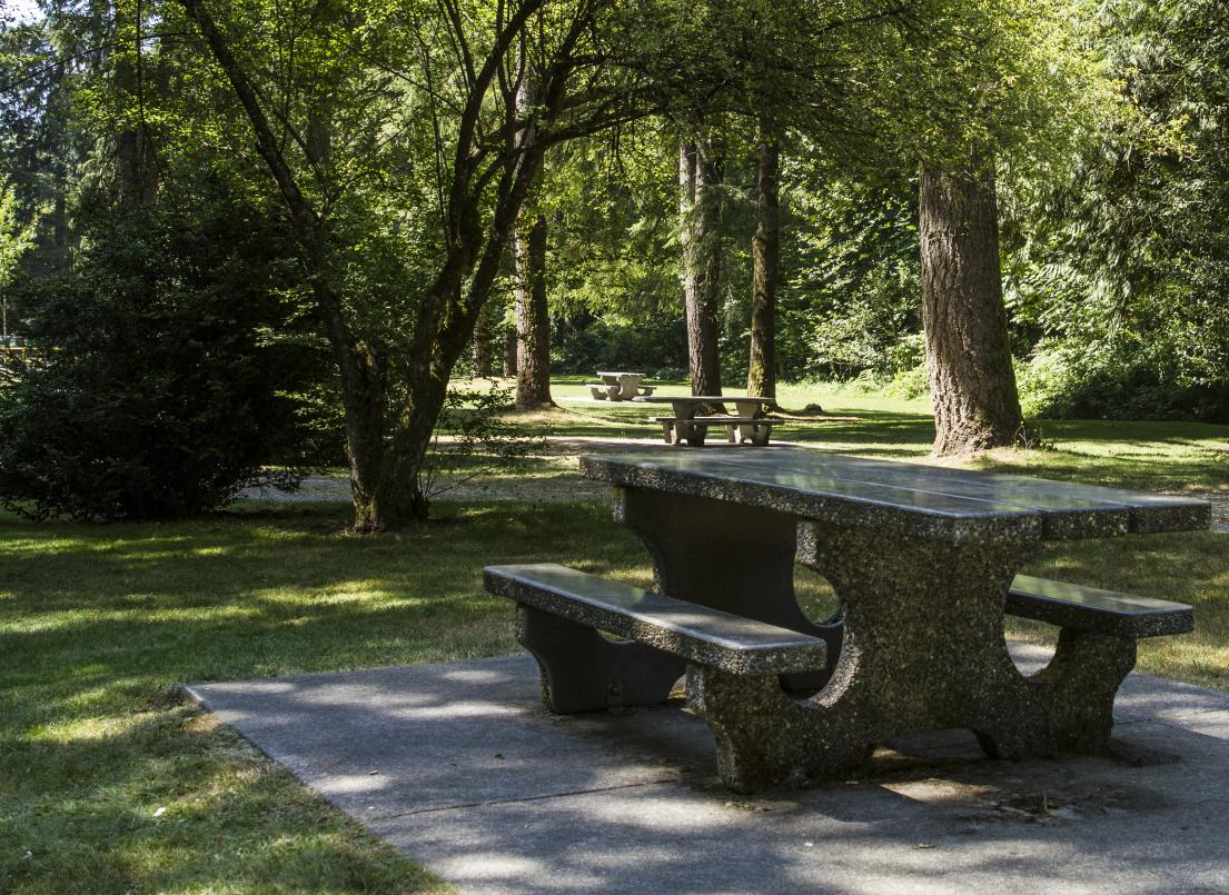 A stone picnic table sits on a shady paved patch amidst a grassy field and trees.