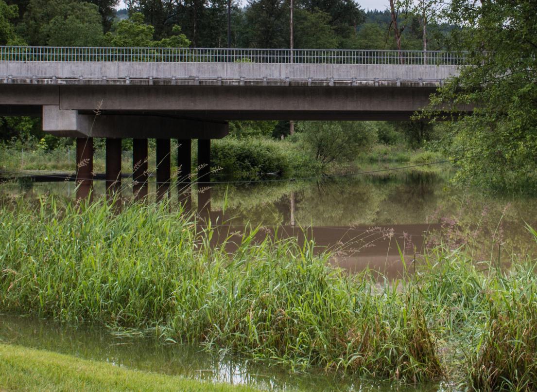 A bridge sits over a fish fence on Kanaka Creek. In the foreground, grasses cover the bank.