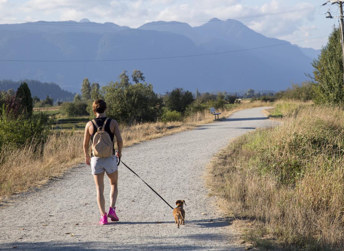 A person walks their dog down the scenic dyke network at Jerry Sulina Park.