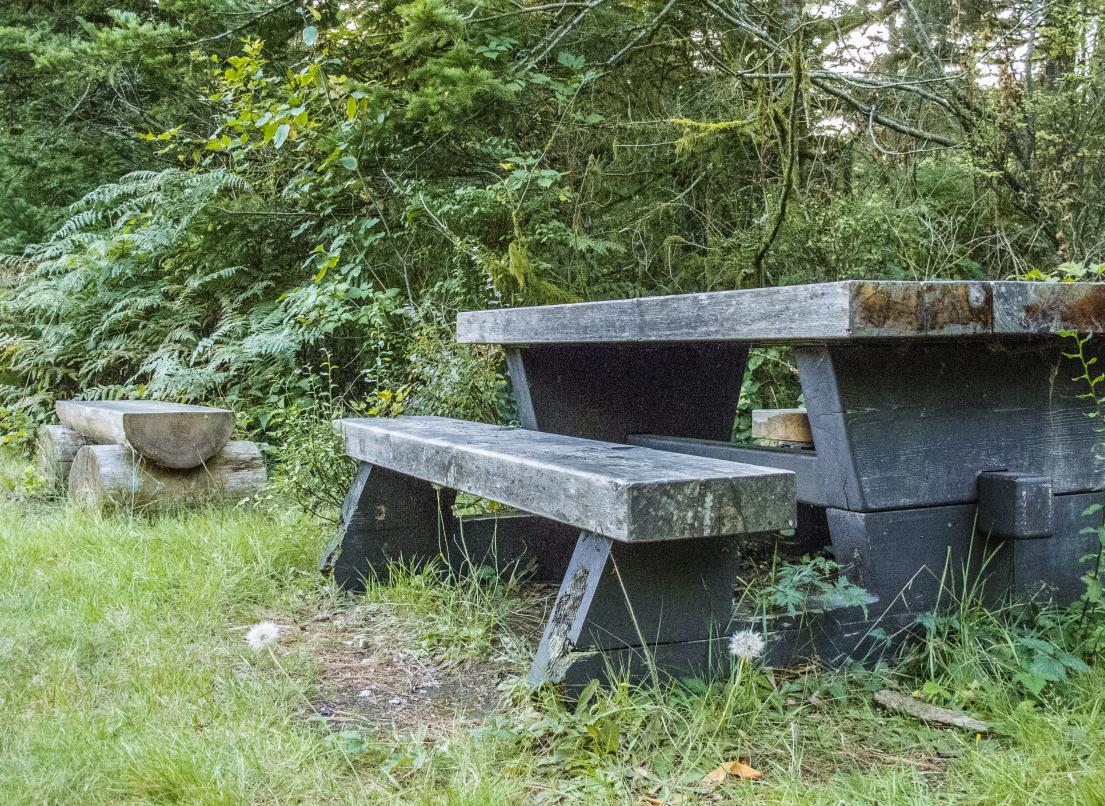 A picnic table sits next to a log bench at the edge of the woods.
