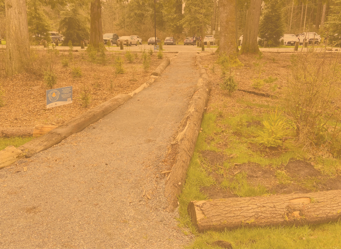 Trail at Whonnock Lake Playground