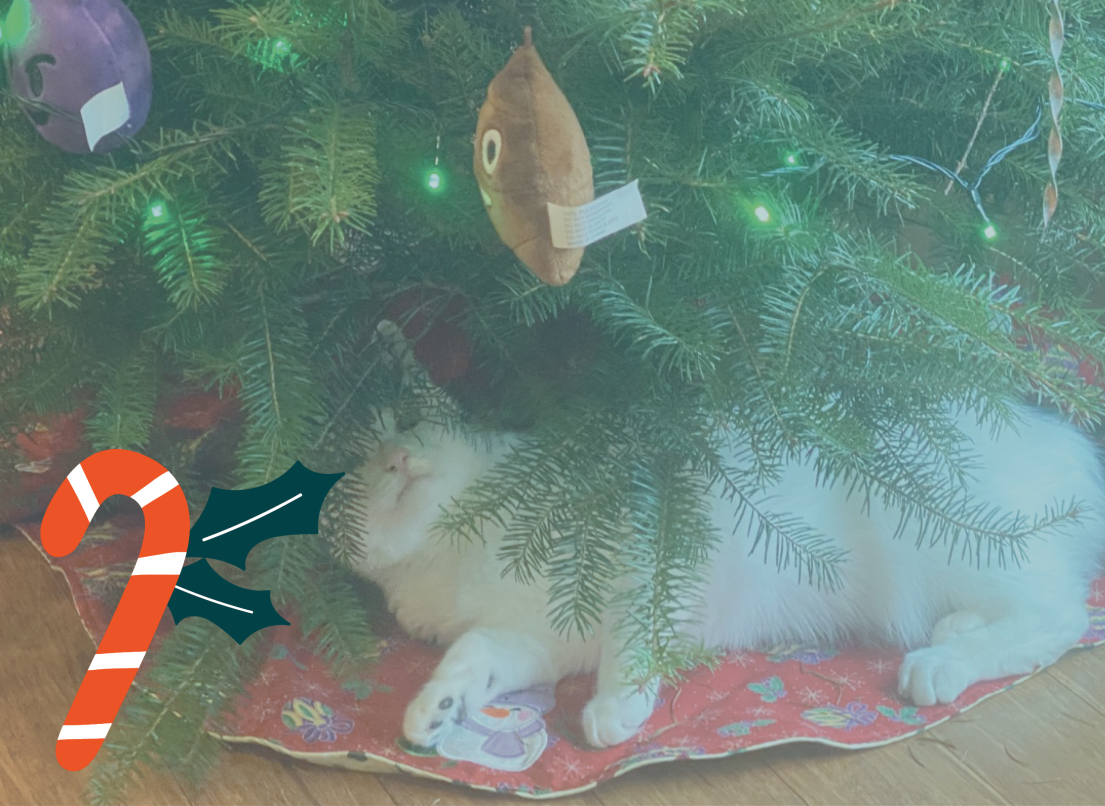 Cat Lying Under the Christmas Tree