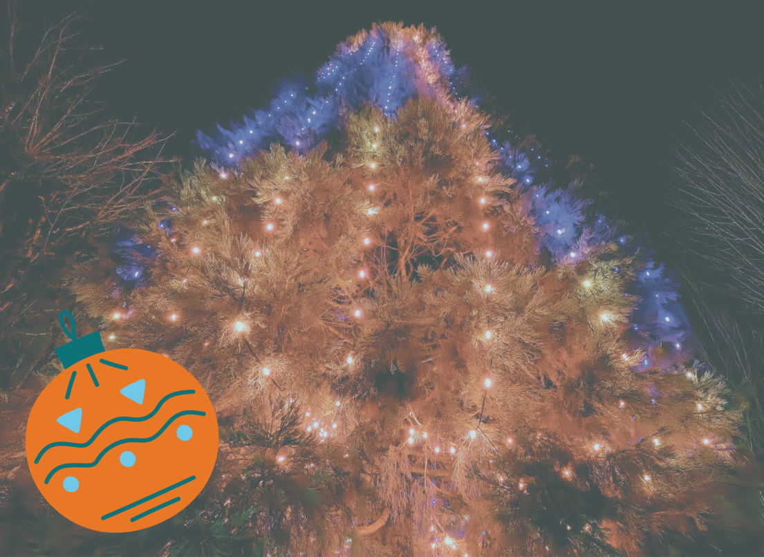 Tree Lit Up for the Holidays