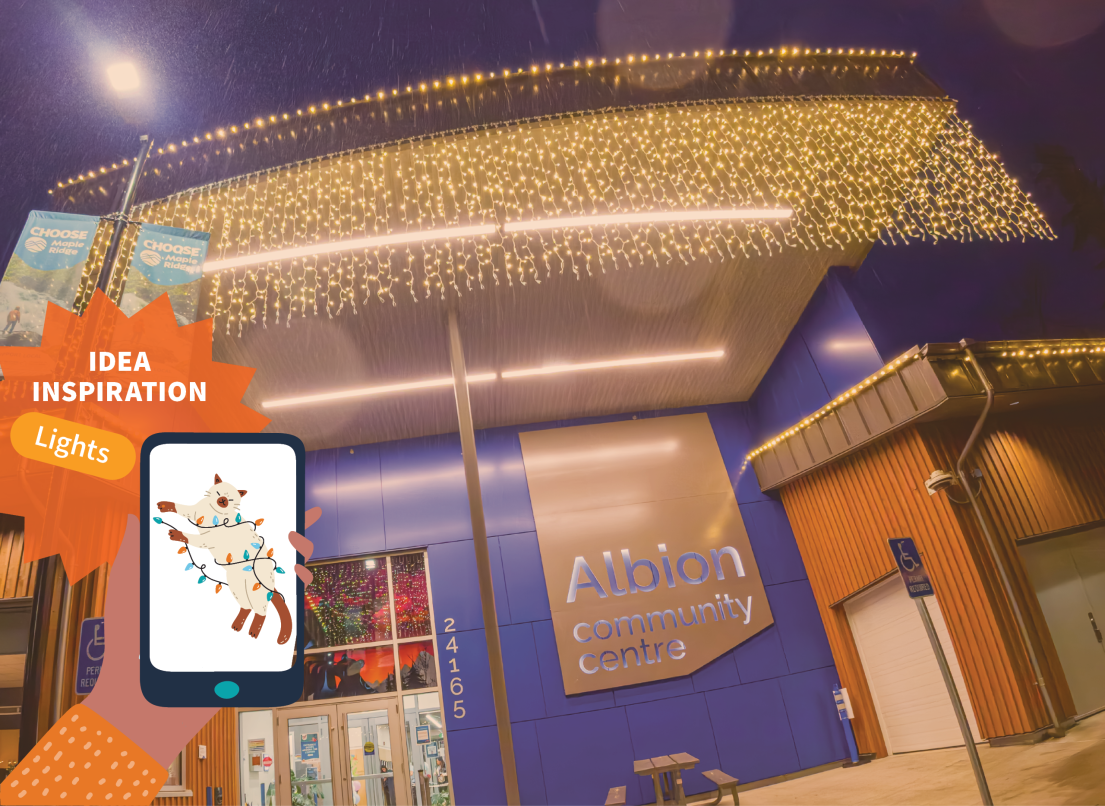 Holiday Lights on the Outside of Albion Community Centre