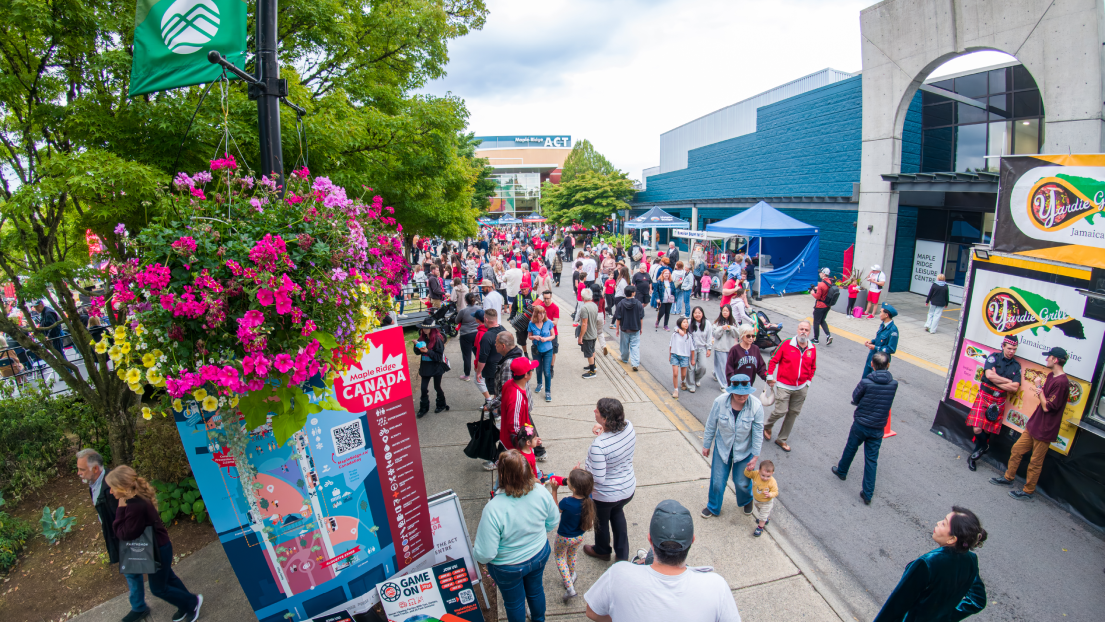 Crowd on Canada Day